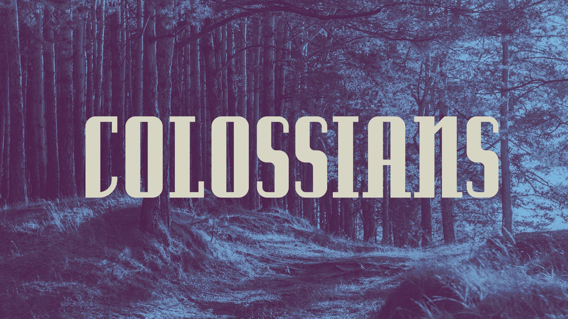 Colossians - Men's Bible Study