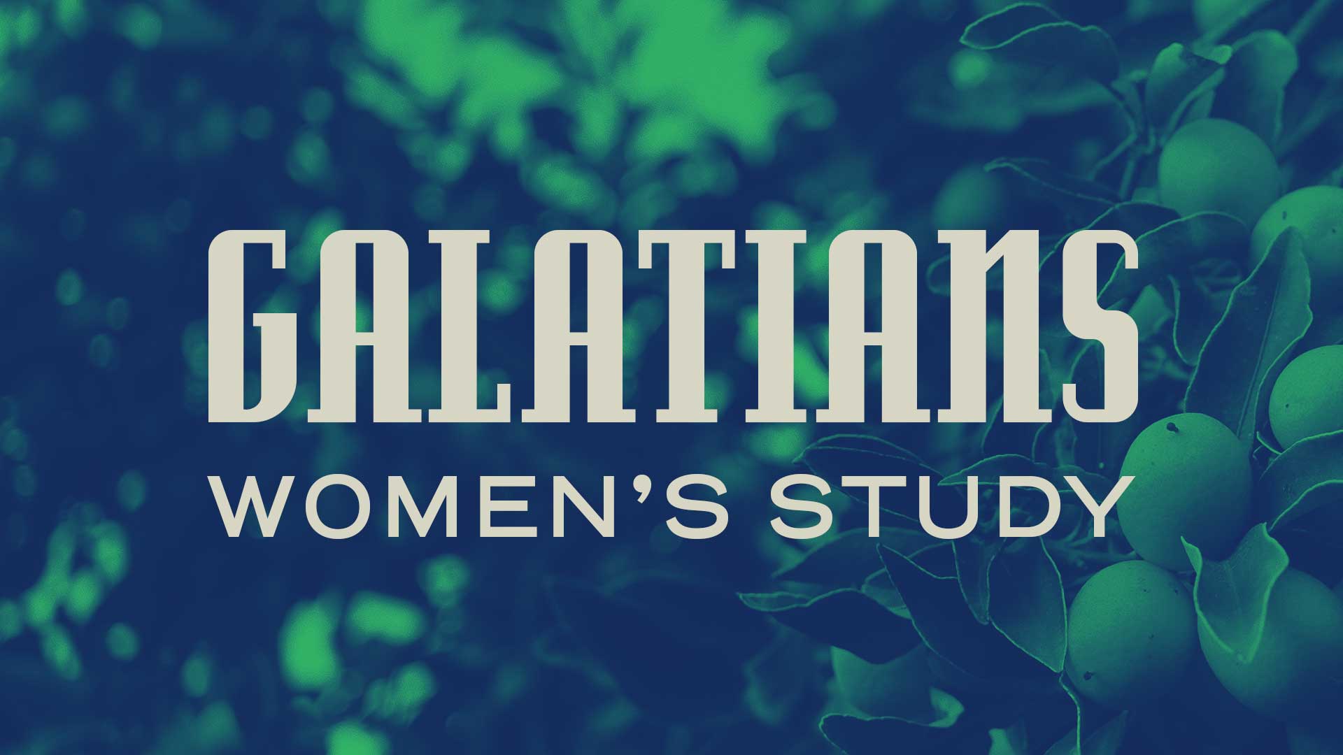 Women's Bible Study