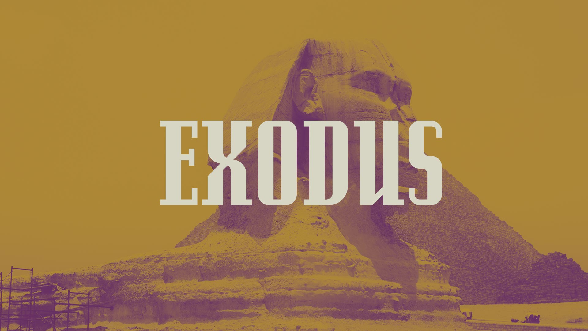 Exodus Bible Study